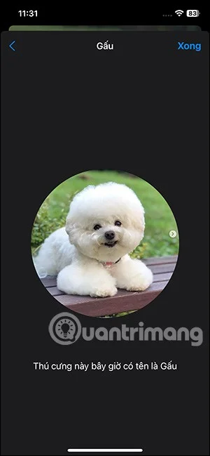 Como marcar animais de estimação nas fotos do iPhone