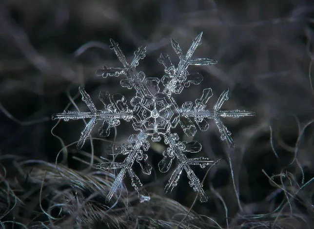Waarom zijn geen twee sneeuwvlokken 100% hetzelfde?