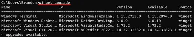 How to use Windows Package Manager to easily install and update programs