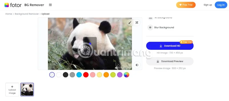 Hoe verwijder je de achtergrond online? Verwijder heel eenvoudig de achtergrond van een foto.