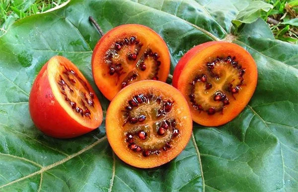 Lijst van fruitsoorten die tot de zeldzaamste en lekkerste ter wereld zijn verkozen
