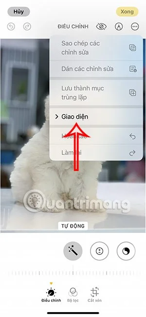 iPhone에서 어두운 배경 사진 편집 인터페이스를 변경하는 방법