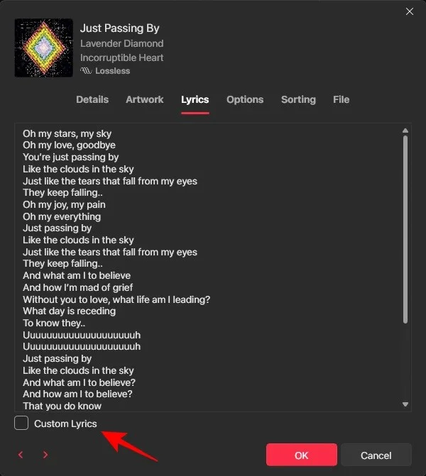 How to Add Lyrics to Apple Music Windows
