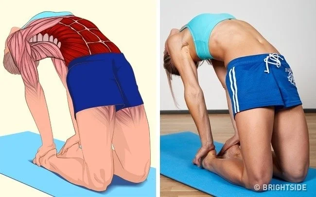 18 movimientos sencillos para estirar los músculos en cualquier posición del cuerpo