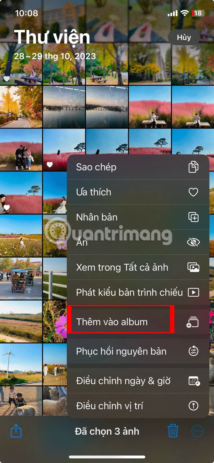 Cómo organizar fotos en el iPhone
