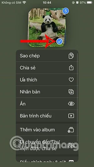iPhone에서 텍스트 및 파일을 끌어서 놓기 위한 지침