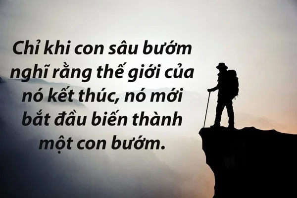 Estado motivacional, buenas frases para ayudar a recuperar la fe en la vida