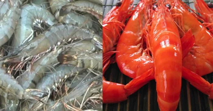 Waarom worden garnalen- en krabbenpantsers rood na het koken? Waarom worden garnalen- en krabbenpantsers rood na het koken?