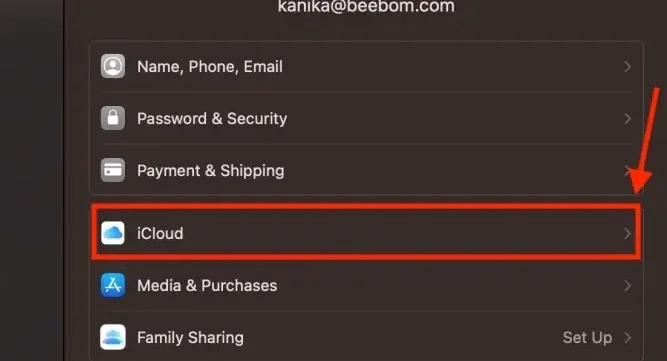 Telefonlarda ve bilgisayarlarda en son iCloud e-postasını oluşturma talimatları