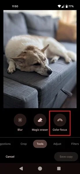 Cómo tomar fotografías con fondo borroso usando un teléfono Android