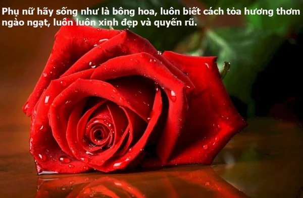 Petikan yang baik tentang bunga, kapsyen tentang bunga, status yang baik dan bermakna tentang bunga