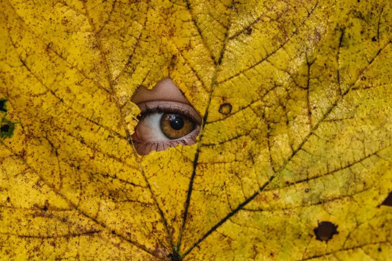 17 websites om hoogwaardige, auteursrechtvrije foto's te vinden