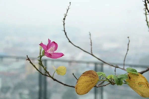 Positive energy status inspires and empowers you
