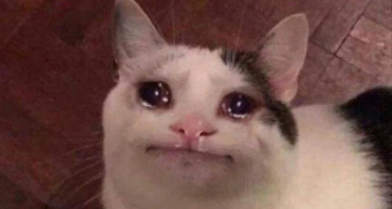 Meme van een huilende kat, grappige foto's van een huilende kat