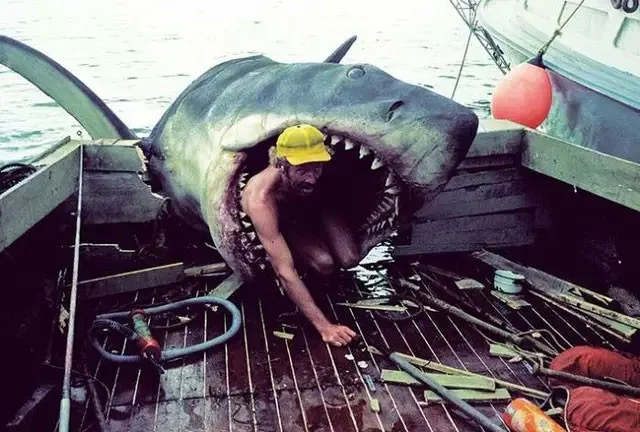28 zeldzame historische foto's en de ongelooflijke verhalen erachter