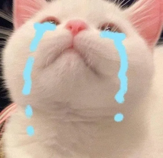 Meme van een huilende kat, grappige foto's van een huilende kat