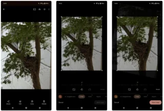 Hoe je de fotorotatiefunctie op smartphones onder de knie krijgt