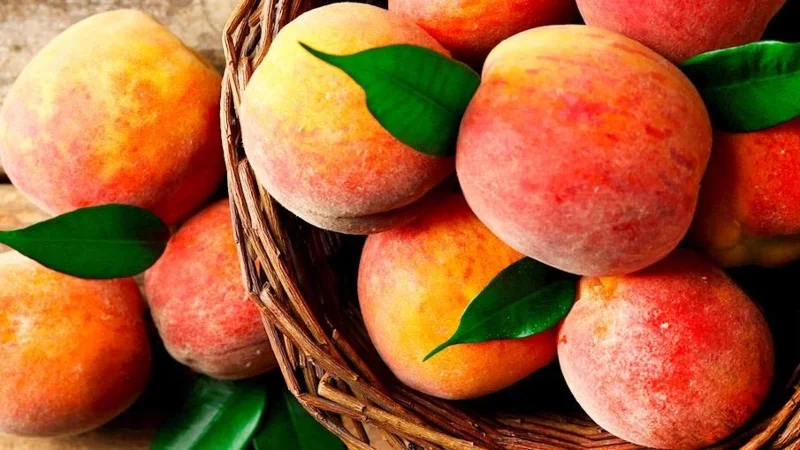 Lijst van fruitsoorten die tot de zeldzaamste en lekkerste ter wereld zijn verkozen