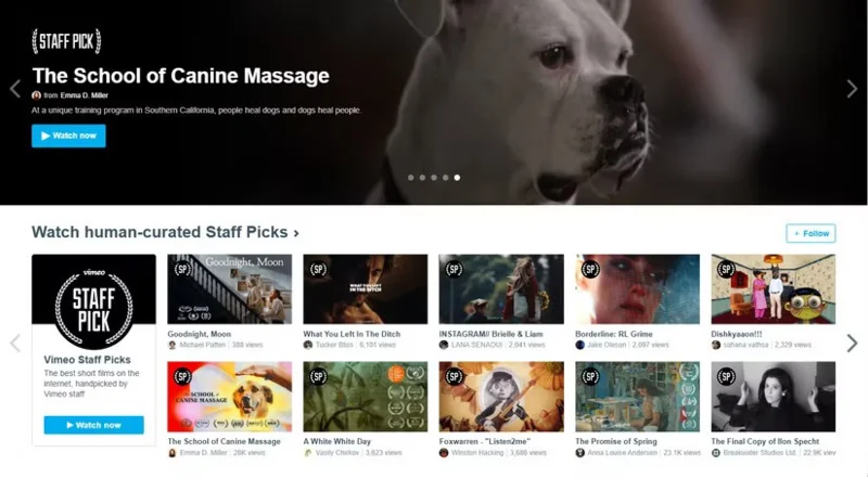 Trend Olanları Takip Etmek İçin En İyi 8 Viral Video Sitesi