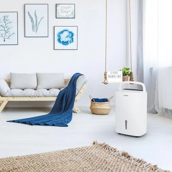 Membandingkan penyahlembapan dan penghawa dingin (mod kering)? Perlukah saya membeli dehumidifier?