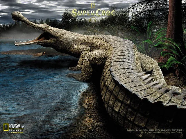 Os dinossauros carnívoros mais perigosos dos tempos pré-históricos