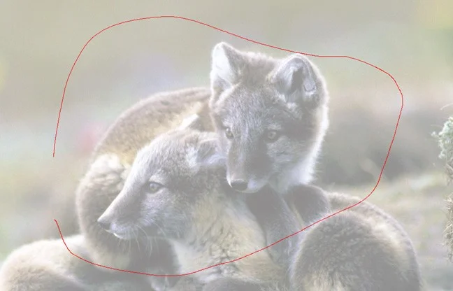 How to use Snipping Tool on Windows 10 full