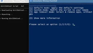 Why Windows bloatware removal scripts can do more harm than good?