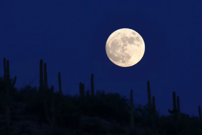 Impresionantes imágenes de la superluna desde todo el mundo.