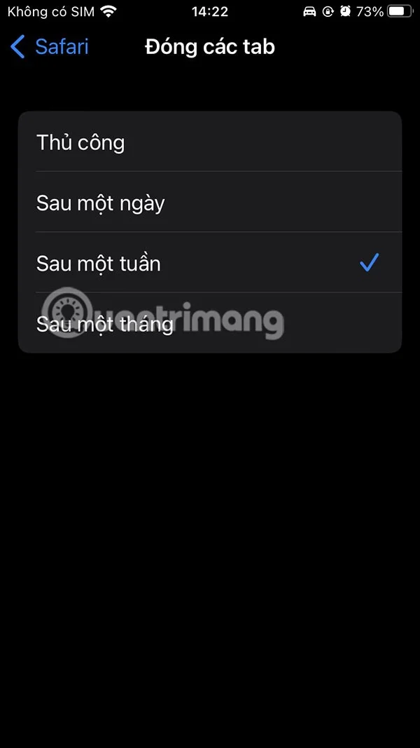 오래된 Safari 탭을 자동으로 닫기 위한 지침