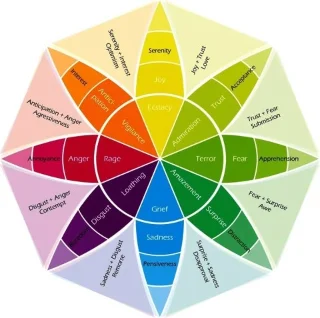 Cómo utilizar la rueda de las emociones para mejorar tu salud