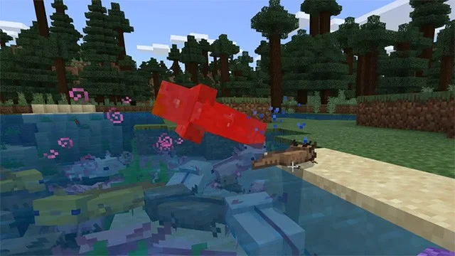 Axolotl Minecraft nasıl yetiştirilir, Minecraft Salamander nasıl evcilleştirilir