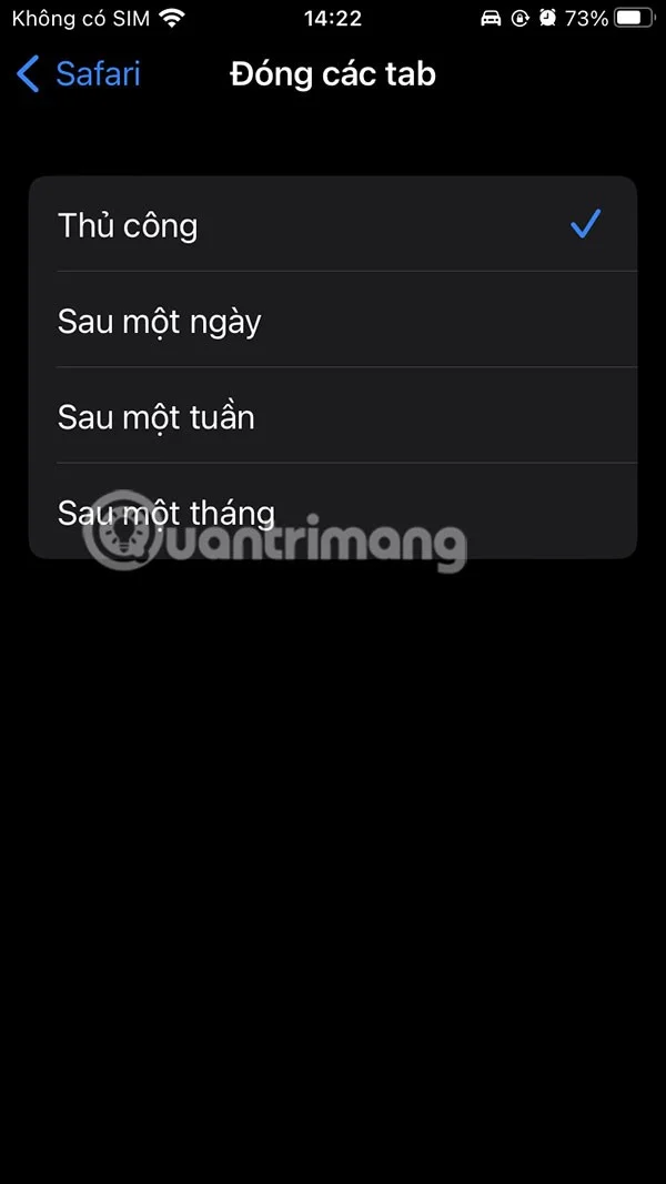 오래된 Safari 탭을 자동으로 닫기 위한 지침