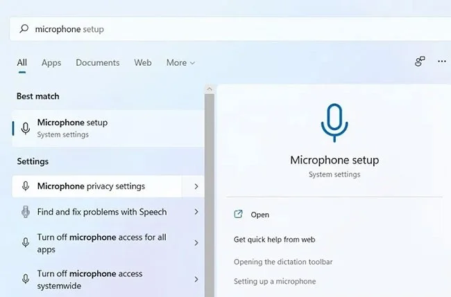 Fix microphone not working in Windows 10