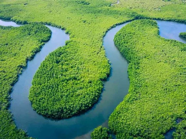 Top 10 langste rivieren ter wereld vandaag