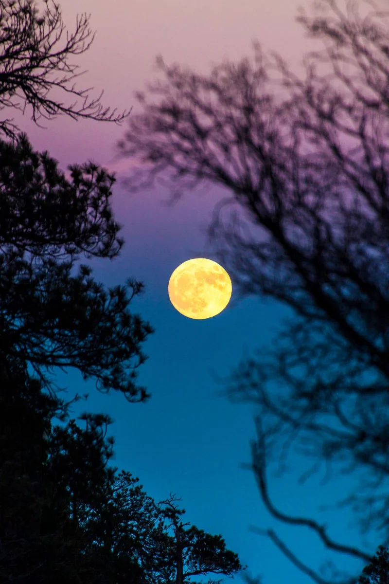 Impresionantes imágenes de la superluna desde todo el mundo.