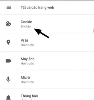 Cookies inschakelen in Lien Quan, cookies inschakelen/uitschakelen op de iPhone