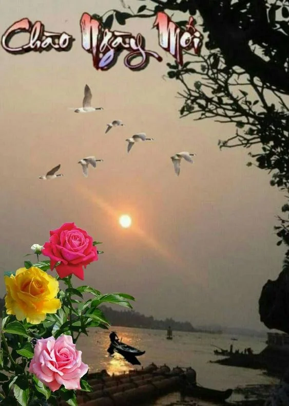 Imágenes de buenos días, hermosas imágenes de nuevo día.