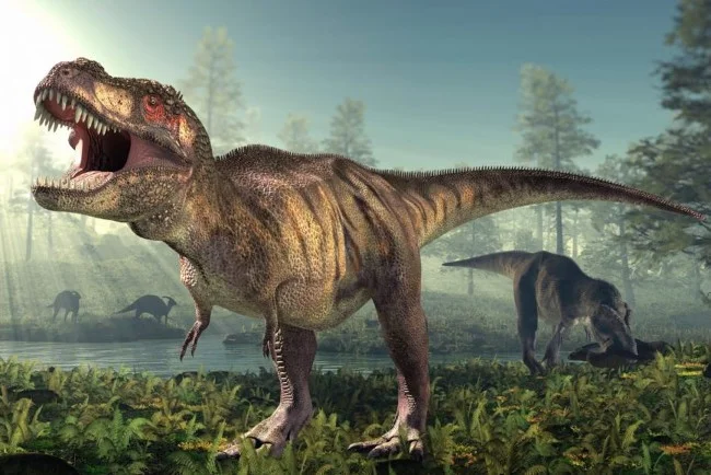 Os dinossauros carnívoros mais perigosos dos tempos pré-históricos