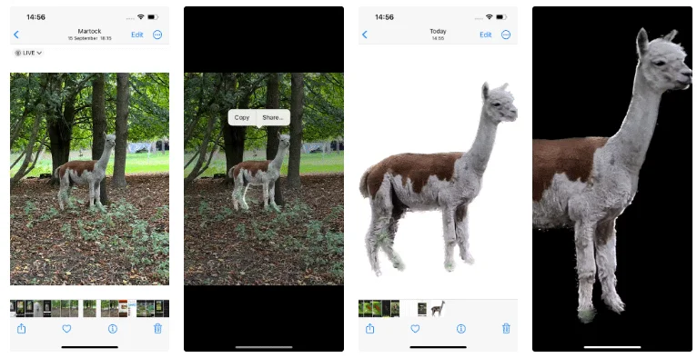 Magical photo background removal apps you should try