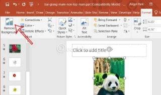 如何在 PowerPoint 中刪除圖像背景