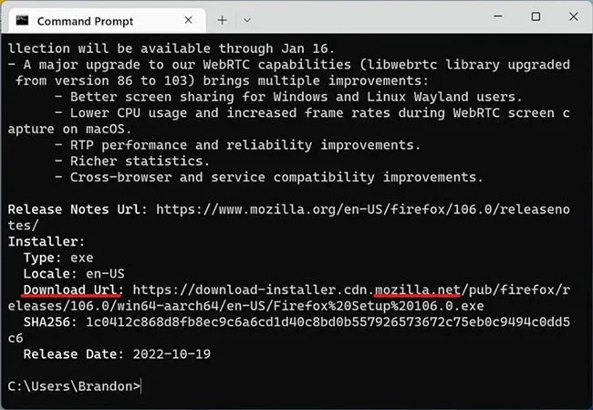 How to use Windows Package Manager to easily install and update programs