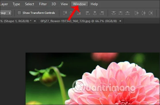 Cómo cambiar el color de fondo en Photoshop