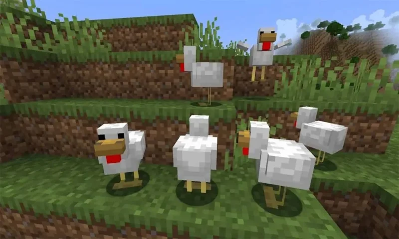 Alle kipvariaties en waar je ze in Minecraft kunt vinden