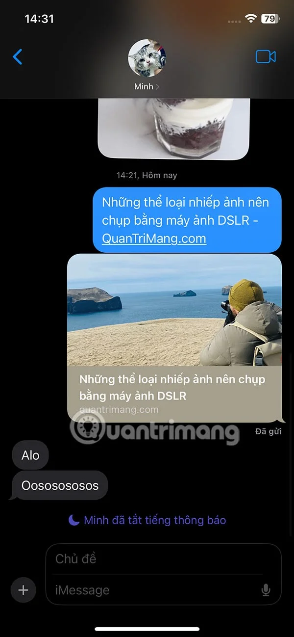 Cum să fixați conținutul partajat în mesajele iPhone