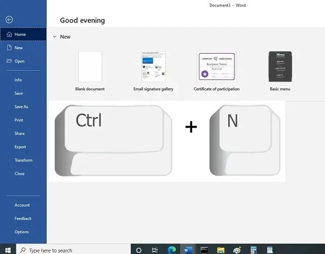 How to run multiple instances of a Windows program