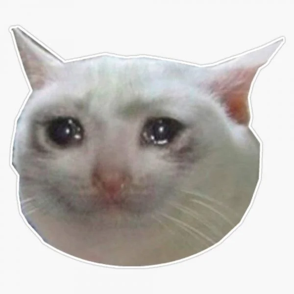 Meme van een huilende kat, grappige foto's van een huilende kat