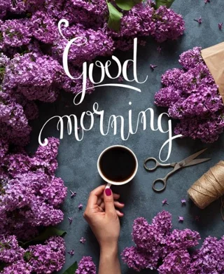 Imágenes de buenos días, hermosas imágenes de nuevo día.