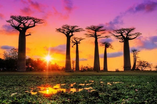 Descubre los apodos de países de todo el mundo
