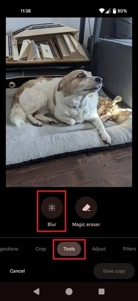 Cómo tomar fotografías con fondo borroso usando un teléfono Android
