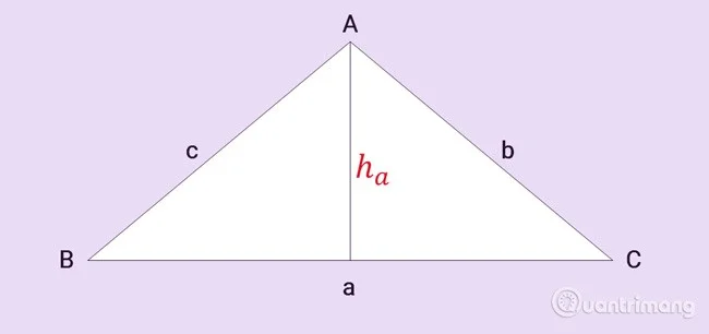 Formule voor het berekenen van de oppervlakte van een driehoek: recht, regelmatig, gelijkbenig, gelijkzijdig